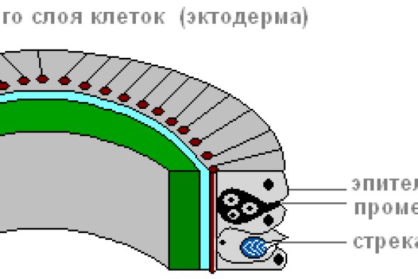 Kraken 19 at сайт